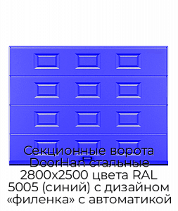 Секционные ворота DoorHan стальные 2800х2500 цвета RAL 5005 (синий) с дизайном «филенка» с автоматикой preview 1