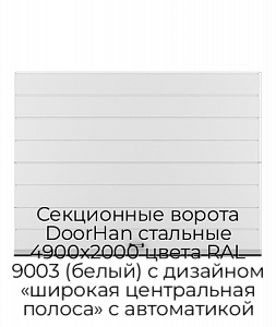 Секционные ворота DoorHan стальные 4900х2000 цвета RAL 9003 (белый) с дизайном «широкая центральная полоса» с автоматикой preview 1