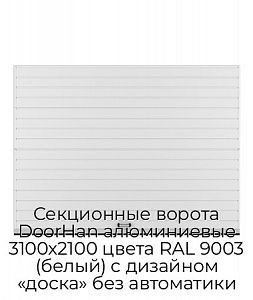 Секционные ворота DoorHan алюминиевые 3100х2100 цвета RAL 9003 (белый) с дизайном «доска» без автоматики preview 1