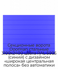 Секционные ворота DoorHan стальные 3100х2400 цвета RAL 5005 (синий) с дизайном «широкая центральная полоса» без автоматики