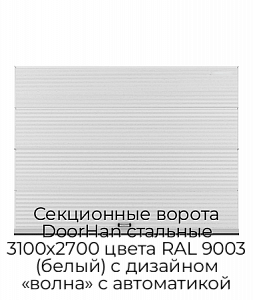Секционные ворота DoorHan стальные 3100х2700 цвета RAL 9003 (белый) с дизайном «волна» с автоматикой preview 1