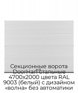 Секционные ворота DoorHan стальные 4700х2000 цвета RAL 9003 (белый) с дизайном «волна» без автоматики preview 1