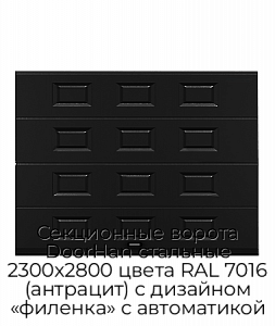 Секционные ворота DoorHan стальные 2300х2800 цвета RAL 7016 (антрацит) с дизайном «филенка» с автоматикой preview 1