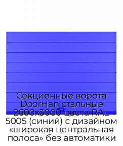 Секционные ворота DoorHan стальные 2600х3000 цвета RAL 5005 (синий) с дизайном «широкая центральная полоса» без автоматики