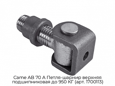 Петля-шарнир верхняя подшипниковая до 950 КГ (арт. 1700113) Came AB 70 A