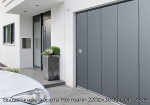 Выдвижные ворота Hormann 2200×3000 СВВ-2929 preview 1