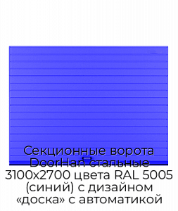Секционные ворота DoorHan стальные 3100х2700 цвета RAL 5005 (синий) с дизайном «доска» с автоматикой preview 1