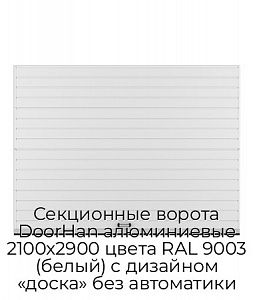 Секционные ворота DoorHan алюминиевые 2100х2900 цвета RAL 9003 (белый) с дизайном «доска» без автоматики preview 1