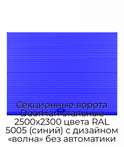 Секционные ворота DoorHan стальные 2500х2300 цвета RAL 5005 (синий) с дизайном «волна» без автоматики preview 1