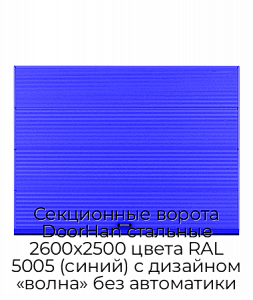 Секционные ворота DoorHan стальные 2600х2500 цвета RAL 5005 (синий) с дизайном «волна» без автоматики preview 1
