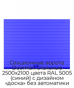 Секционные ворота DoorHan стальные 2500х2100 цвета RAL 5005 (синий) с дизайном «доска» без автоматики