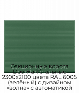 Секционные ворота DoorHan стальные 2300х2100 цвета RAL 6005 (зелёный) с дизайном «волна» с автоматикой preview 1
