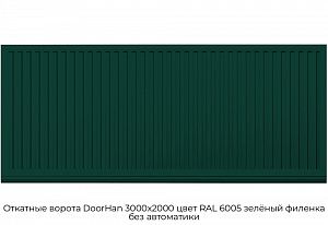 Откатные ворота DoorHan 3000х2000 цвет RAL 6005 зелёный филенка без автоматики preview 1