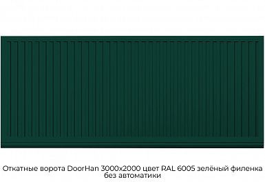 Откатные ворота DoorHan 3000х2000 цвет RAL 6005 зелёный филенка без автоматики