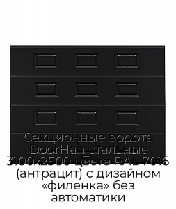Секционные ворота DoorHan стальные 3100х2500 цвета RAL 7016 (антрацит) с дизайном «филенка» без автоматики preview 1