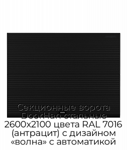 Секционные ворота DoorHan стальные 2600х2100 цвета RAL 7016 (антрацит) с дизайном «волна» с автоматикой preview 1