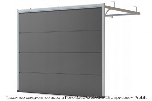 Гаражные секционные ворота RenoMatic 42 2500х2125 с приводом ProLift 1