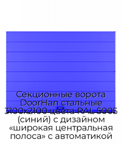 Секционные ворота DoorHan стальные 3100х2100 цвета RAL 5005 (синий) с дизайном «широкая центральная полоса» с автоматикой