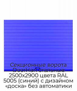 Секционные ворота DoorHan стальные 2500х2900 цвета RAL 5005 (синий) с дизайном «доска» без автоматики preview 1