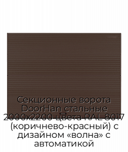 Секционные ворота DoorHan стальные 2000х2200 цвета RAL 8017 (коричнево-красный) с дизайном «волна» с автоматикой preview 1