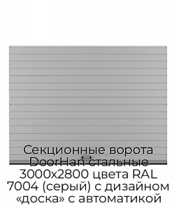 Секционные ворота DoorHan стальные 3000х2800 цвета RAL 7004 (серый) с дизайном «доска» с автоматикой preview 1