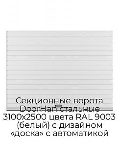 Секционные ворота DoorHan стальные 3100х2500 цвета RAL 9003 (белый) с дизайном «доска» с автоматикой