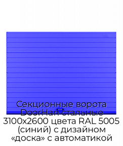Секционные ворота DoorHan стальные 3100х2600 цвета RAL 5005 (синий) с дизайном «доска» с автоматикой