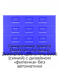 Секционные ворота DoorHan стальные 2500х2100 цвета RAL 5005 (синий) с дизайном «филенка» без автоматики