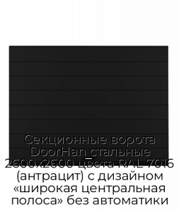 Секционные ворота DoorHan стальные 2600х2600 цвета RAL 7016 (антрацит) с дизайном «широкая центральная полоса» без автоматики preview 1