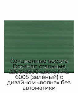 Секционные ворота DoorHan стальные 2200х2500 цвета RAL 6005 (зелёный) с дизайном «волна» без автоматики preview 1