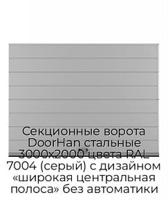 Секционные ворота DoorHan стальные 3000х2000 цвета RAL 7004 (серый) с дизайном «широкая центральная полоса» без автоматики