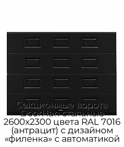 Секционные ворота DoorHan стальные 2600х2300 цвета RAL 7016 (антрацит) с дизайном «филенка» с автоматикой preview 1