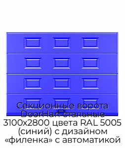 Секционные ворота DoorHan стальные 3100х2800 цвета RAL 5005 (синий) с дизайном «филенка» с автоматикой preview 1