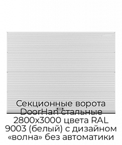 Секционные ворота DoorHan стальные 2800х3000 цвета RAL 9003 (белый) с дизайном «волна» без автоматики