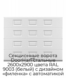 Секционные ворота DoorHan стальные 2600х2900 цвета RAL 9003 (белый) с дизайном «филенка» с автоматикой preview 1