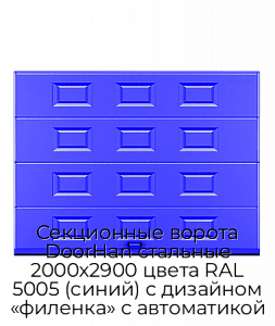 Секционные ворота DoorHan стальные 2000х2900 цвета RAL 5005 (синий) с дизайном «филенка» с автоматикой preview 1