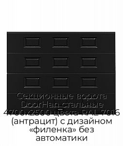 Секционные ворота DoorHan стальные 4700х2500 цвета RAL 7016 (антрацит) с дизайном «филенка» без автоматики preview 1
