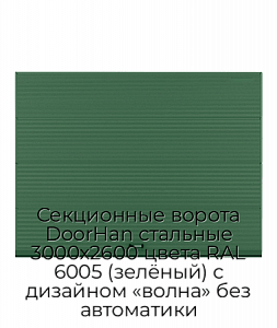 Секционные ворота DoorHan стальные 3000х2600 цвета RAL 6005 (зелёный) с дизайном «волна» без автоматики preview 1
