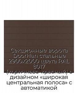 Секционные ворота DoorHan стальные 2900х2000 цвета RAL 8017 (коричнево-красный) с дизайном «широкая центральная полоса» с автоматикой preview 1
