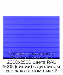 Секционные ворота DoorHan стальные 2800х2500 цвета RAL 5005 (синий) с дизайном «доска» с автоматикой