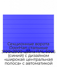 Секционные ворота DoorHan стальные 3100х2900 цвета RAL 5005 (синий) с дизайном «широкая центральная полоса» с автоматикой