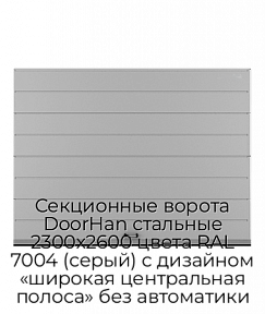 Секционные ворота DoorHan стальные 2300х2600 цвета RAL 7004 (серый) с дизайном «широкая центральная полоса» без автоматики