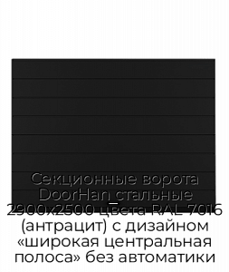 Секционные ворота DoorHan стальные 2900х2500 цвета RAL 7016 (антрацит) с дизайном «широкая центральная полоса» без автоматики preview 1