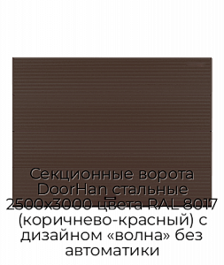 Секционные ворота DoorHan стальные 2500х3000 цвета RAL 8017 (коричнево-красный) с дизайном «волна» без автоматики preview 1