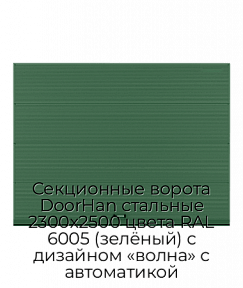 Секционные ворота DoorHan стальные 2300х2500 цвета RAL 6005 (зелёный) с дизайном «волна» с автоматикой