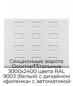 Секционные ворота DoorHan стальные 3000х2400 цвета RAL 9003 (белый) с дизайном «филенка» с автоматикой