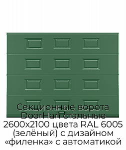 Секционные ворота DoorHan стальные 2600х2100 цвета RAL 6005 (зелёный) с дизайном «филенка» с автоматикой preview 1