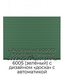 Секционные ворота DoorHan стальные 3000х2500 цвета RAL 6005 (зелёный) с дизайном «доска» с автоматикой