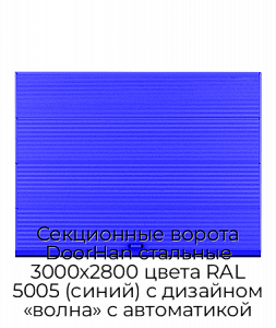 Секционные ворота DoorHan стальные 3000х2800 цвета RAL 5005 (синий) с дизайном «волна» с автоматикой preview 1
