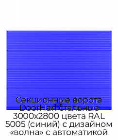 Секционные ворота DoorHan стальные 3000х2800 цвета RAL 5005 (синий) с дизайном «волна» с автоматикой